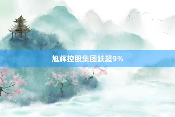 旭辉控股集团跌超9%